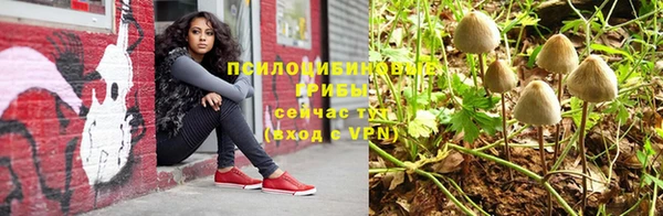 дживик Зеленодольск