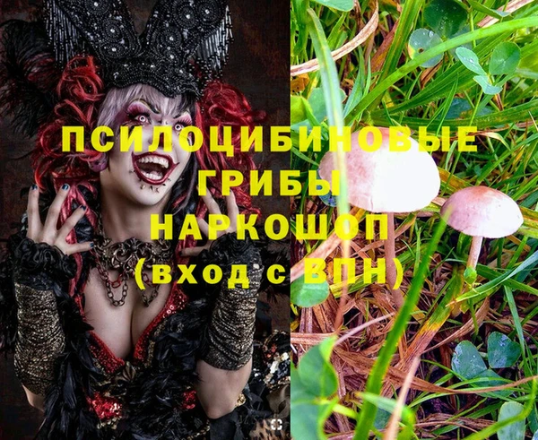 МДМА Пестово