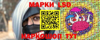 гашик Камышлов