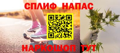 гашик Камышлов