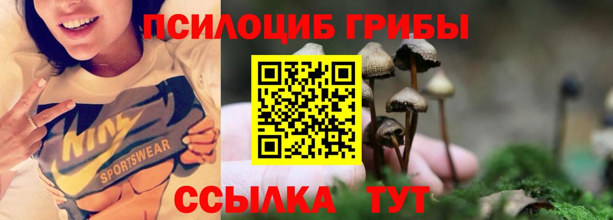 Галлюциногенные грибы GOLDEN TEACHER Солнечногорск