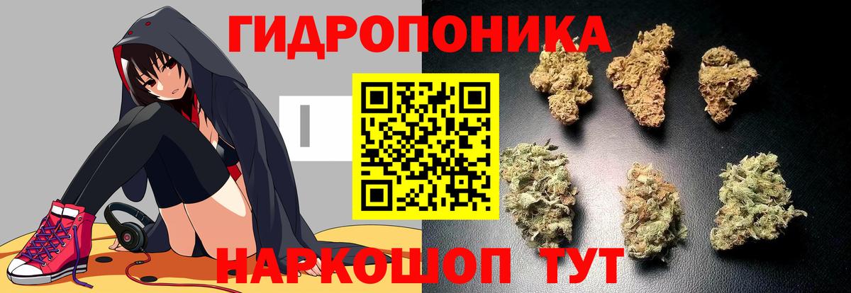 МАРИХУАНА семена  Вход с VPN  Конопля Ganja  Солнечногорск  Бошки Шишки марихуана  Шишки марихуана OG Kush 